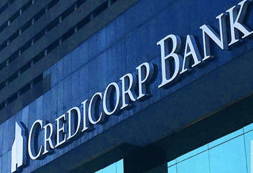 Financial Services Credit Card Company Case Study-2