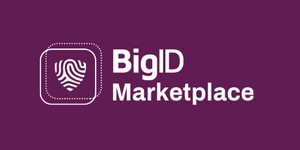 BigID Marketplace 2
