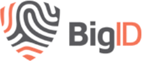 bigid-2