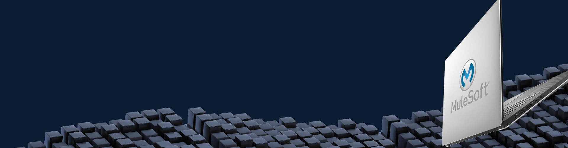 mulesoft-header-new-1